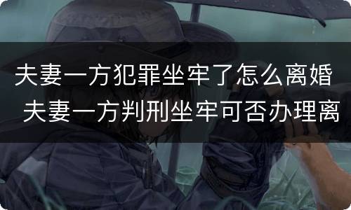 夫妻一方犯罪坐牢了怎么离婚 夫妻一方判刑坐牢可否办理离婚