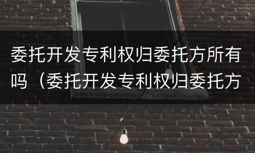 委托开发专利权归委托方所有吗（委托开发专利权归委托方所有吗）