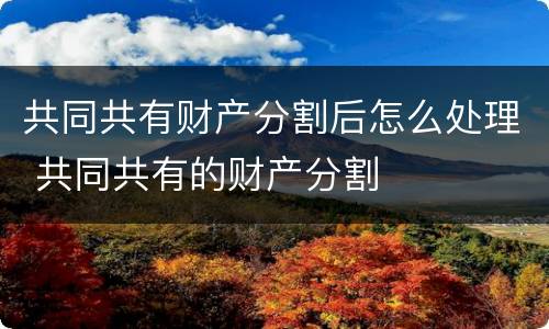 共同共有财产分割后怎么处理 共同共有的财产分割