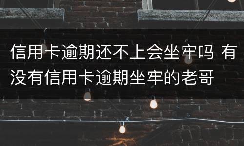 信用卡逾期还不上会坐牢吗 有没有信用卡逾期坐牢的老哥