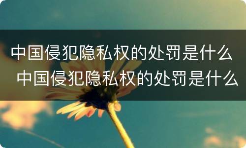 中国侵犯隐私权的处罚是什么 中国侵犯隐私权的处罚是什么意思