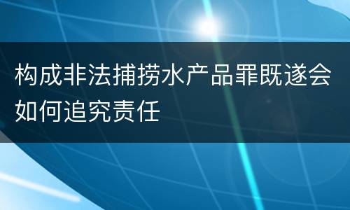 构成非法捕捞水产品罪既遂会如何追究责任
