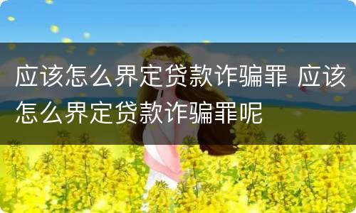 应该怎么界定贷款诈骗罪 应该怎么界定贷款诈骗罪呢