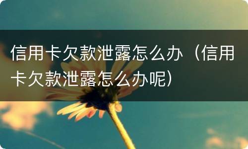 信用卡欠款泄露怎么办（信用卡欠款泄露怎么办呢）