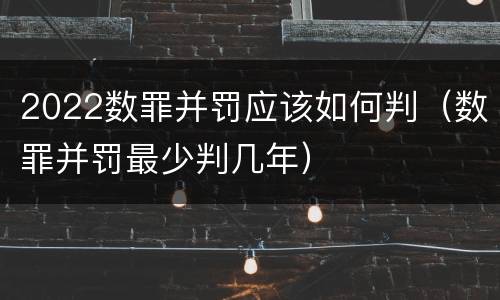2022数罪并罚应该如何判（数罪并罚最少判几年）