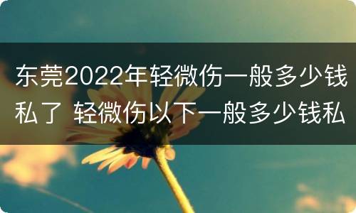 东莞2022年轻微伤一般多少钱私了 轻微伤以下一般多少钱私了
