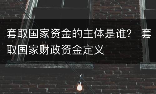套取国家资金的主体是谁？ 套取国家财政资金定义