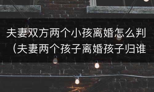 夫妻双方两个小孩离婚怎么判（夫妻两个孩子离婚孩子归谁）