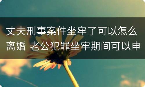 丈夫刑事案件坐牢了可以怎么离婚 老公犯罪坐牢期间可以申请离婚吗