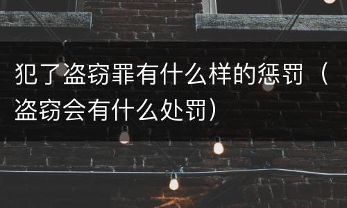 犯了盗窃罪有什么样的惩罚（盗窃会有什么处罚）