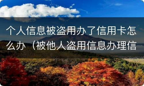 个人信息被盗用办了信用卡怎么办（被他人盗用信息办理信用卡）