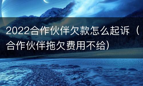 2022合作伙伴欠款怎么起诉（合作伙伴拖欠费用不给）