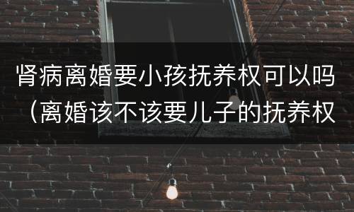 肾病离婚要小孩抚养权可以吗（离婚该不该要儿子的抚养权）