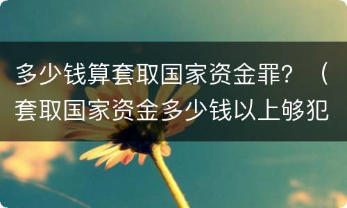 多少钱算套取国家资金罪？（套取国家资金多少钱以上够犯罪）