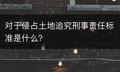 对于侵占土地追究刑事责任标准是什么？