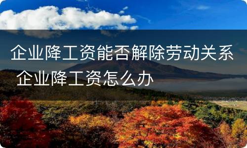 企业降工资能否解除劳动关系 企业降工资怎么办