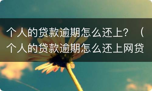 个人的贷款逾期怎么还上？（个人的贷款逾期怎么还上网贷）