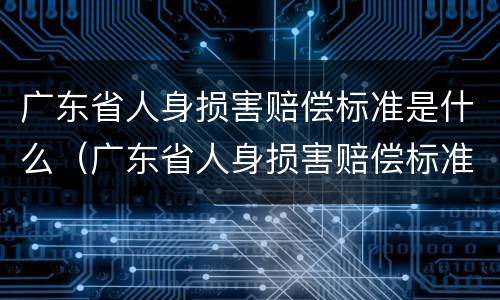 广东省人身损害赔偿标准是什么（广东省人身损害赔偿标准是什么时候实施）