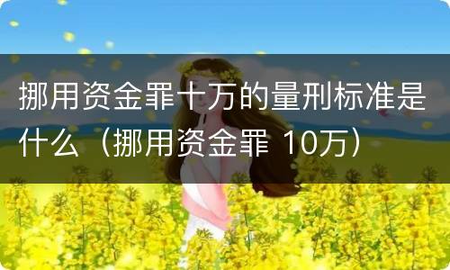 挪用资金罪十万的量刑标准是什么（挪用资金罪 10万）