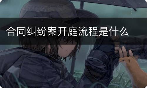 合同纠纷案开庭流程是什么
