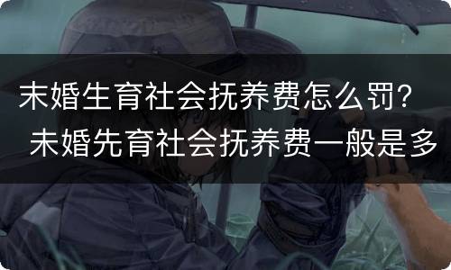 末婚生育社会抚养费怎么罚？ 未婚先育社会抚养费一般是多少