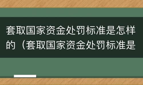 套取国家资金处罚标准是怎样的（套取国家资金处罚标准是怎样的呢）