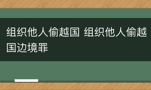 组织他人偷越国 组织他人偷越国边境罪