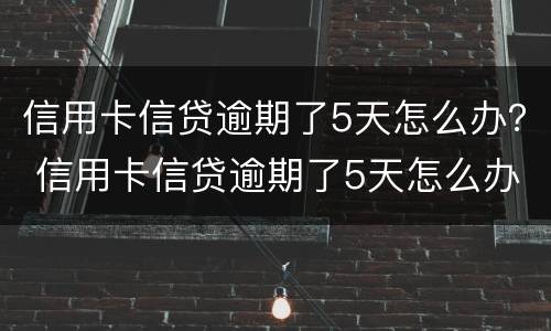 信用卡信贷逾期了5天怎么办？ 信用卡信贷逾期了5天怎么办理