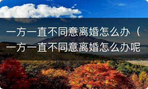 一方一直不同意离婚怎么办（一方一直不同意离婚怎么办呢）