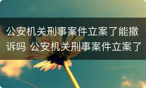 公安机关刑事案件立案了能撤诉吗 公安机关刑事案件立案了能撤诉吗怎么办