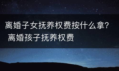 离婚子女抚养权费按什么拿？ 离婚孩子抚养权费