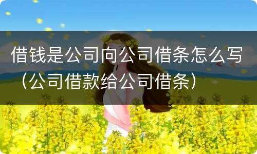借钱是公司向公司借条怎么写（公司借款给公司借条）