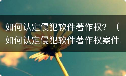 如何认定侵犯软件著作权？（如何认定侵犯软件著作权案件）