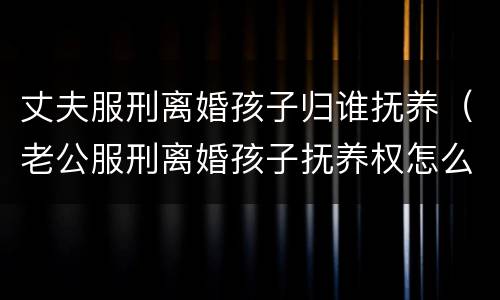 丈夫服刑离婚孩子归谁抚养（老公服刑离婚孩子抚养权怎么判）