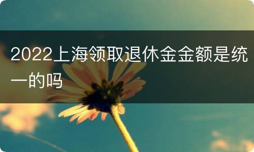 2022上海领取退休金金额是统一的吗
