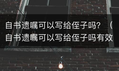 自书遗嘱可以写给侄子吗？（自书遗嘱可以写给侄子吗有效吗）