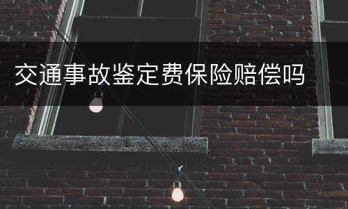交通事故鉴定费保险赔偿吗