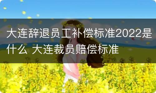 大连辞退员工补偿标准2022是什么 大连裁员赔偿标准