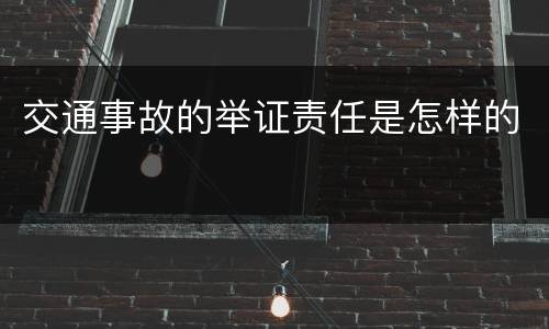 交通事故的举证责任是怎样的