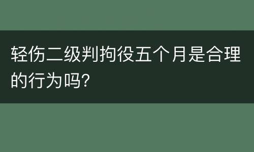 轻伤二级判拘役五个月是合理的行为吗？