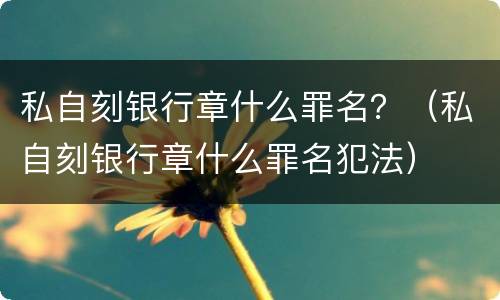 私自刻银行章什么罪名？（私自刻银行章什么罪名犯法）