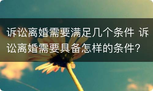 诉讼离婚需要满足几个条件 诉讼离婚需要具备怎样的条件?