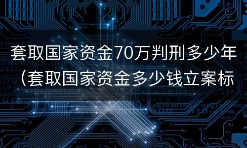套取国家资金70万判刑多少年（套取国家资金多少钱立案标准）