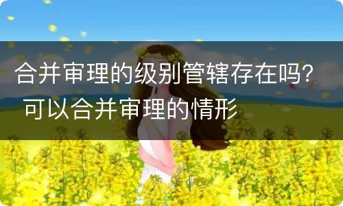 合并审理的级别管辖存在吗？ 可以合并审理的情形