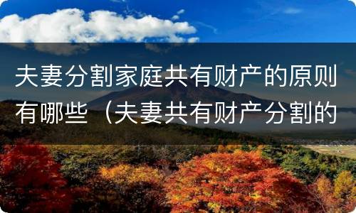 夫妻分割家庭共有财产的原则有哪些（夫妻共有财产分割的法律规定）