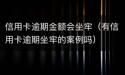 信用卡逾期金额会坐牢（有信用卡逾期坐牢的案例吗）