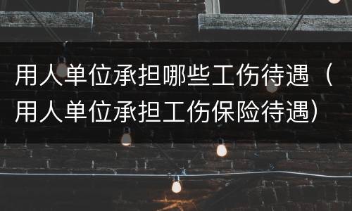 用人单位承担哪些工伤待遇（用人单位承担工伤保险待遇）