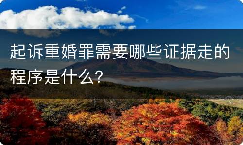 起诉重婚罪需要哪些证据走的程序是什么？