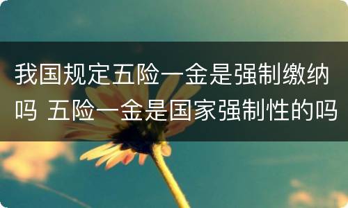 我国规定五险一金是强制缴纳吗 五险一金是国家强制性的吗