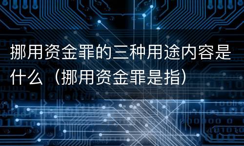 挪用资金罪的三种用途内容是什么（挪用资金罪是指）